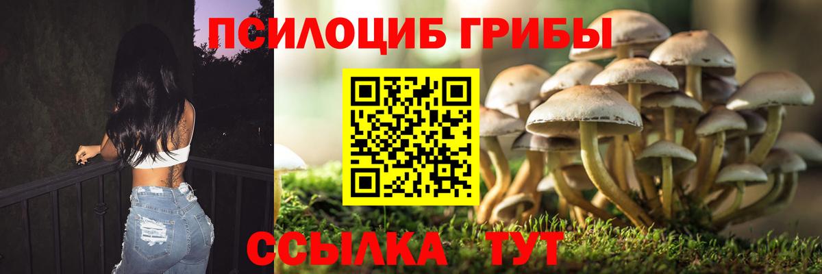 Галлюциногенные грибы Psilocybine cubensis Сунжа