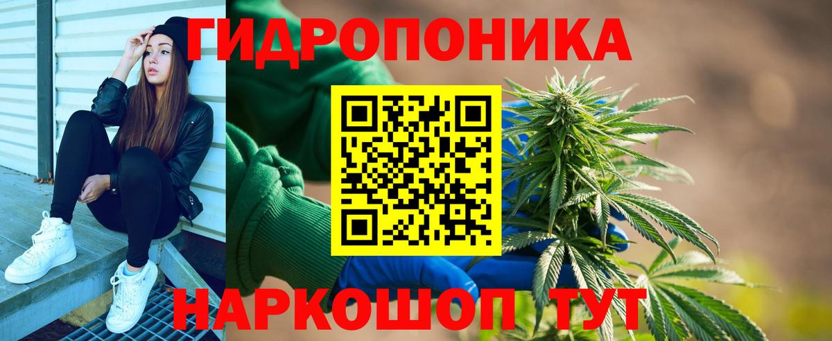 Бошки Шишки White Widow Сунжа